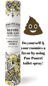 Potpourri toilet spray